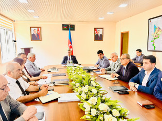 Şirvan Şəhər İcra Hakimiyyətinin başçısı İlqar Abbasov növbəti vətəndaş qəbulu keçirib.