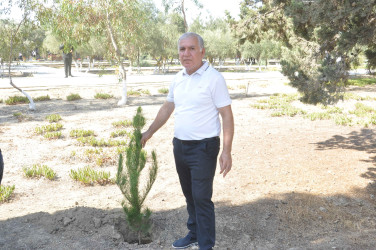 Şirvan şəhərində 27 Sentyabr – Anım Gününə həsr olunmuş tədbir keçirilib.