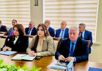 Şirvan Səhər İcra Hakimiyyətinin başçısı İlqar Abbasov növbəti vətəndaş qəbulu keçirib.