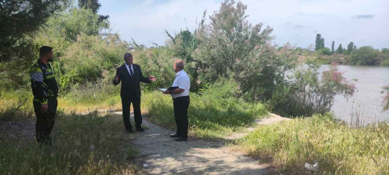 Şirvanda “Şəhərsalma və Memarlıq İli” çərçivəsində görülən abadlıq işləri davam etdirilir.