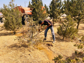 Şirvan şəhərində növbəti iməcilik təşkil olunub.