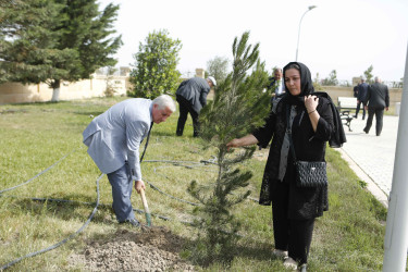 Şirvanda 28 May – Müstəqillik Gününə həsr olunmuş tədbir keçirilib.