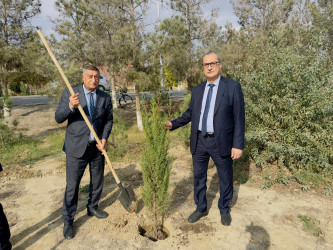 Zəfər Günü münasibətilə ağacəkmə aksiyası keçirilib.