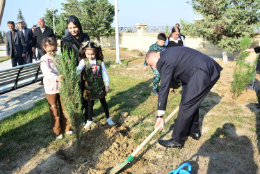Şirvanda Dövlət Bayrağı Günü münasibətilə ağacəkmə aksiyası keçirilib.