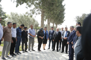 Şirvanda 28 May – Müstəqillik Gününə həsr olunmuş tədbir keçirilib.