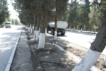 Şirvanda yaşıllıqların suvarılması işləri davam etdirilir.