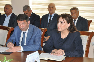 Şirvan Şəhər İcra Hakimiyyətinin başçısı İlqar Abbasov vətəndaş qəbulu keçirib.