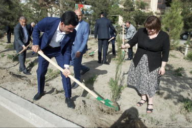 Şirvan şəhərində Ümummilli lider, Ulu Öndər Heydər Əliyevin anadan olmasının 102-ci ildönümü münasibətilə növbəti ağacəkmə aksiyası keçirilib.