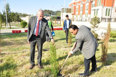 Şirvanda Ulu Öndər Heydər Əliyevin anadan olmasının 103 illiyinə həsr olunmuş ağacəkmə aksiyası keçirilib.