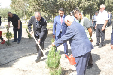 Şirvan şəhərində 27 Sentyabr – Anım Gününə həsr olunmuş tədbir keçirilib.