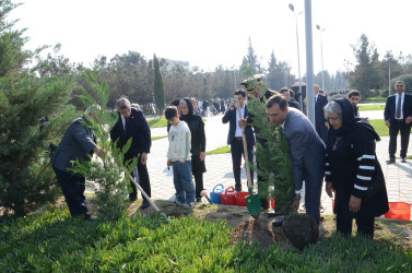 Şirvanda Zəfər Günü münasibətilə Şəhidlər Xiyabanı ziyarət olunub.