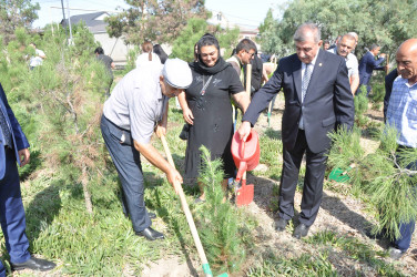 27 sentyabr – Anım Günü Şirvan şəhərində silsilə tədbirlərlə qeyd edilir.