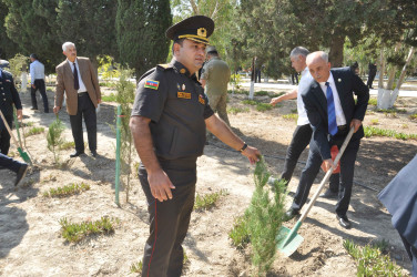 Şirvan şəhərində 27 Sentyabr – Anım Gününə həsr olunmuş tədbir keçirilib.