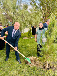 Şirvanda Anım Gününə həsr olunmuş ağacəkmə aksiyası keçirilib