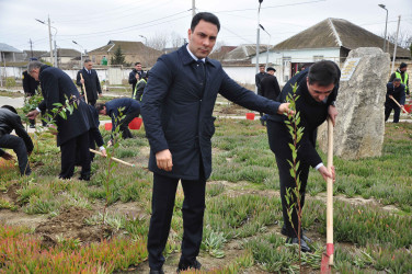 Şirvanda Xocalı soyqırımı qurbanlarının xatirəsinə həsr olunmuş ağacəkmə aksiyası keçirilib.
