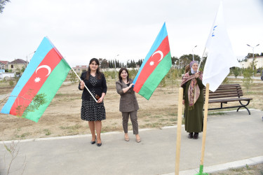 Şirvanda Ümummili lider Heydər Əliyevin anadan olmasının 100 illiyinə həsr olunmuş növbəti ağacəkmə aksiyası keçirilib.