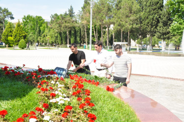 Şirvanda Su təsərrüfatı və meliorasiya işçilərinin peşə bayramı qeyd edilib.