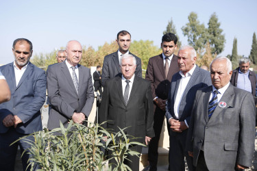 Vətən müharibəsi şəhidi Amal Alışanlının anım günü qeyd edilib.